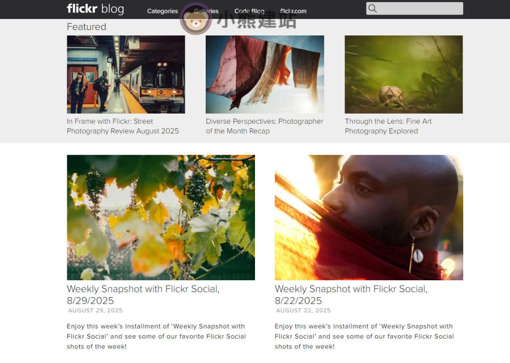 what-can-wordpress-made-4